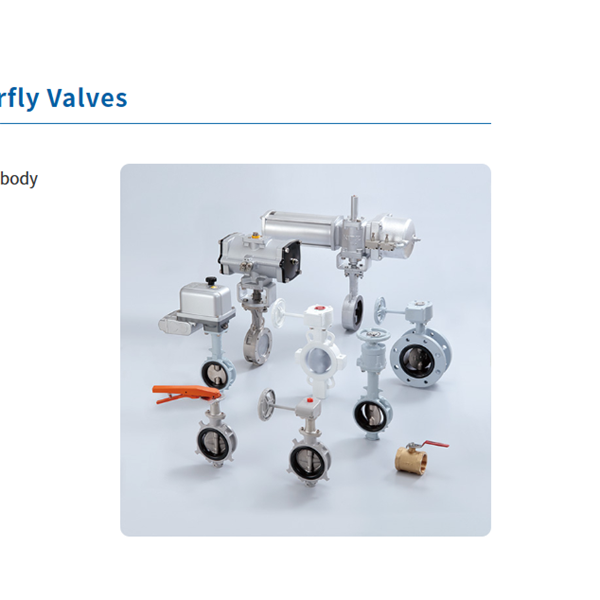 KITZ日本開滋10K鋁蝶閥（杠桿和短頸）10BJSUE-80A
