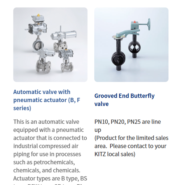 KITZ日本開滋閥門、10K電動蝶閥EXS100-10DJUE-200A