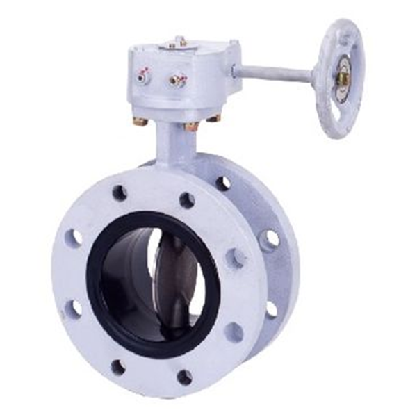 KITZ開滋閥門\齒輪傳動蝶閥B-10LJF-600A