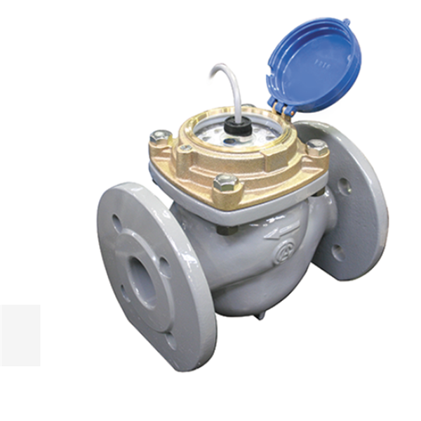 AICHI TOKEI立式軸流葉輪水表GTW100V