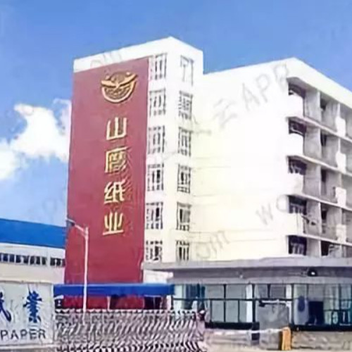浙江山鷹紙業有限公司.jpg